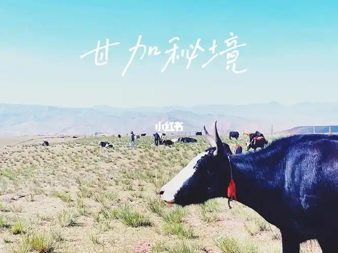 甘加秘境上帝是偏心的将所有美好留在这里