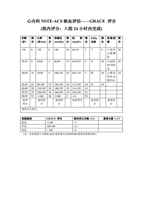 grace评分表.doc 2页