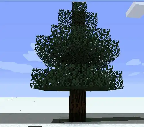 我的世界的银衫树苗是哪个