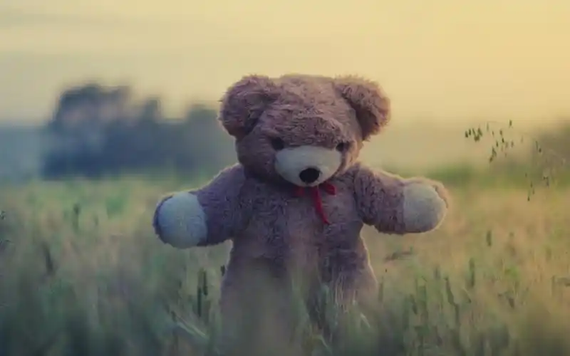 玩具,泰迪熊,草 壁纸