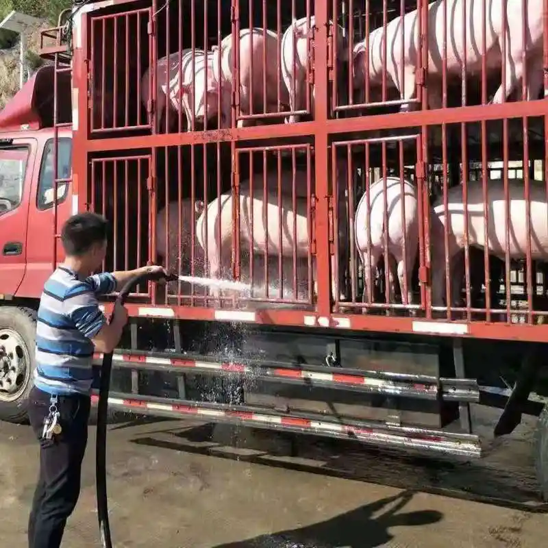 生猪种猪运输车价格厂家图片 让非洲猪瘟无处遁形