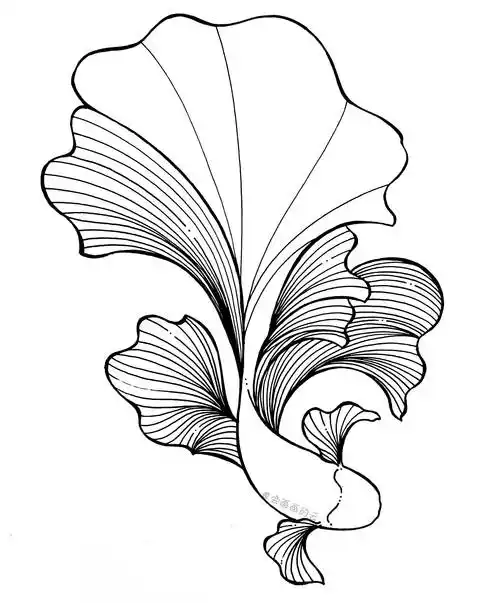 小鱼怎么画(1一6年级画画图片画鱼)-万思特网