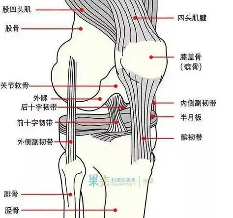 骑行膝盖疼痛与应对方法