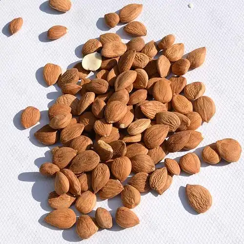 优质南杏500g甜杏仁原味生杏仁搭配北杏煲汤天然带皮非零食包邮_7折