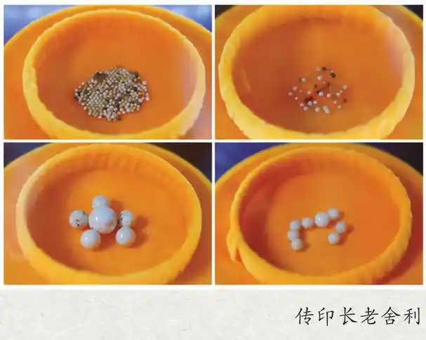 (多图)传印长老舍利终于公开,殊胜无比!