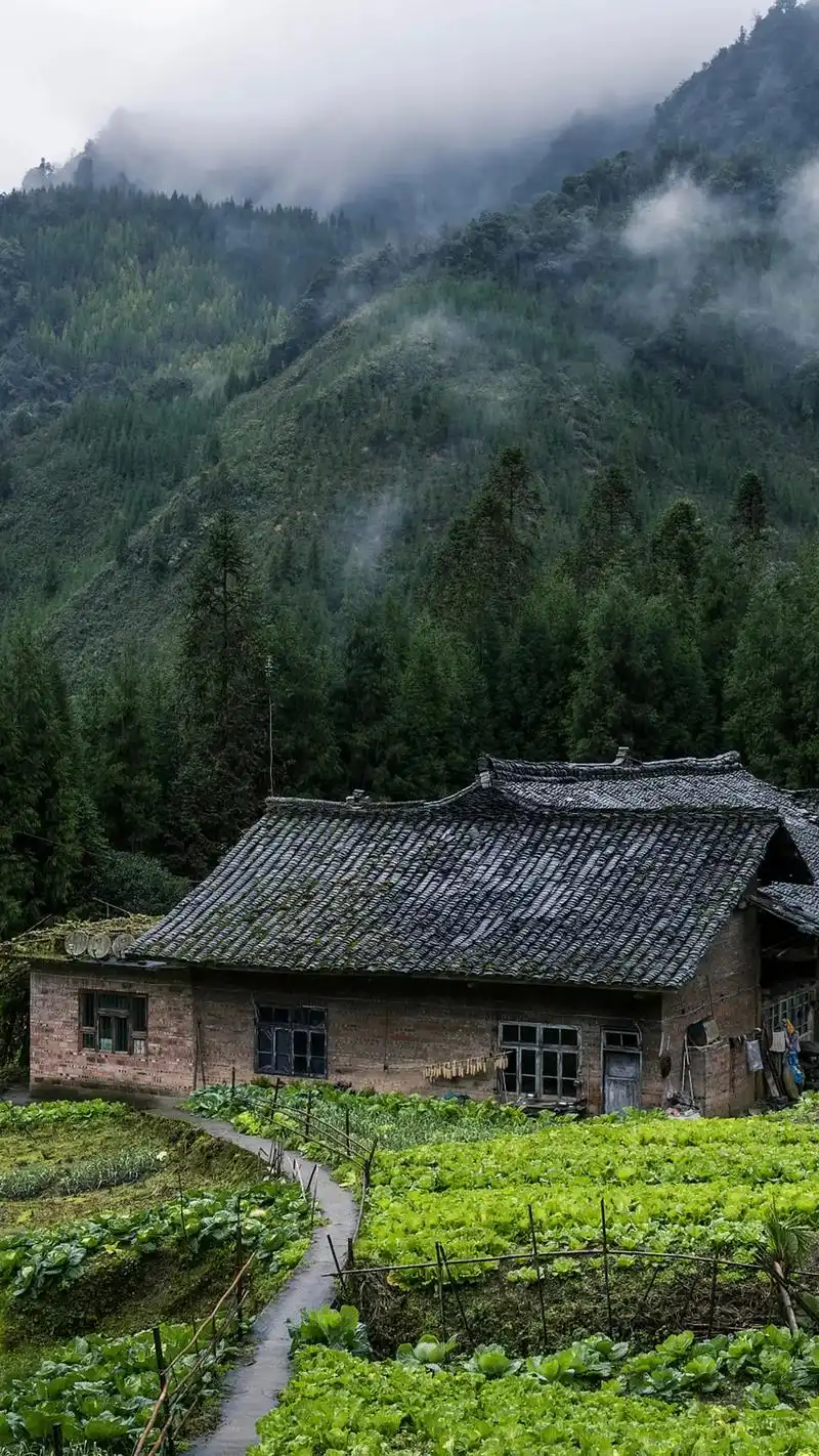 待我了无牵挂,从此归隐天涯,深山老屋为家,远离都市繁华,忙时 - 抖音