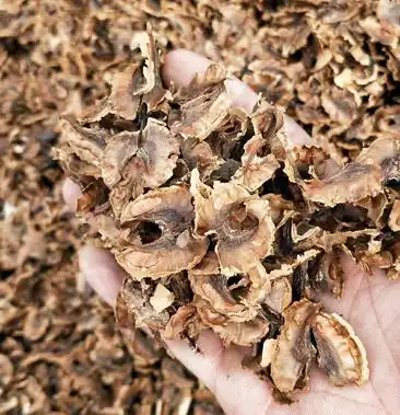 分心木 胡桃衣核桃隔中药材云南野生分心木无硫净货保正品