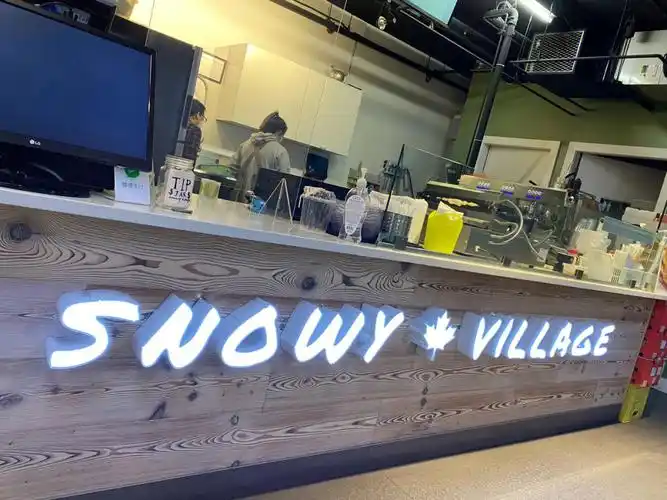 高贵林 snowy village