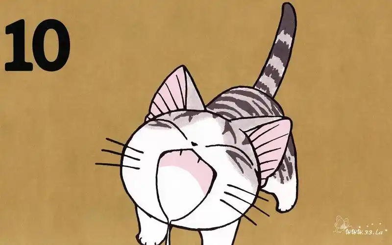 超级小萌猫起司猫图片动漫卡通动物卡通猫咪起司猫小起