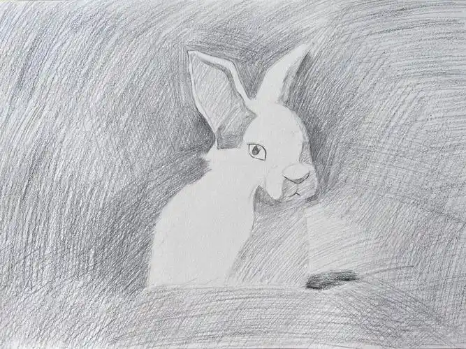 笔记灵感30 的年龄一地鸡毛的生活里捡起片刻的静好0169♀15