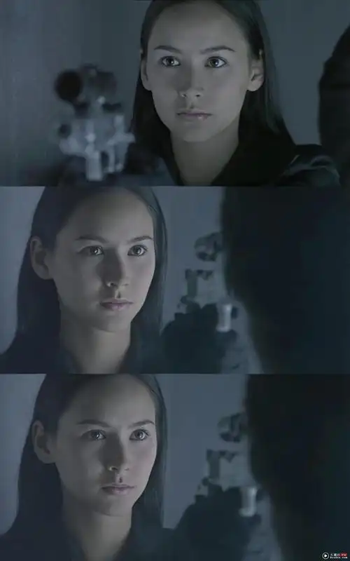 2000年代最多美女的电影绝色神偷其中amandas最大胆演出