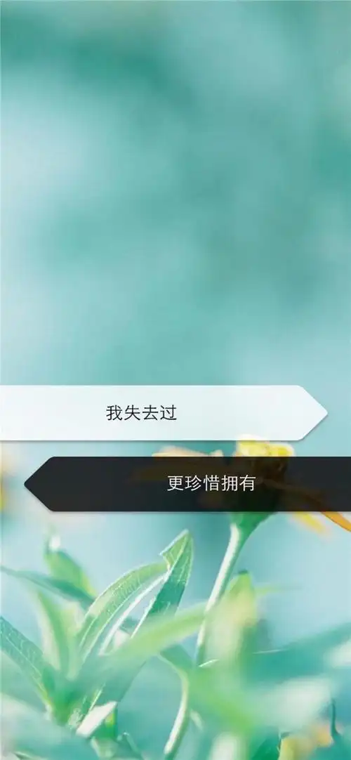 唯美清新伤感文字图片壁纸