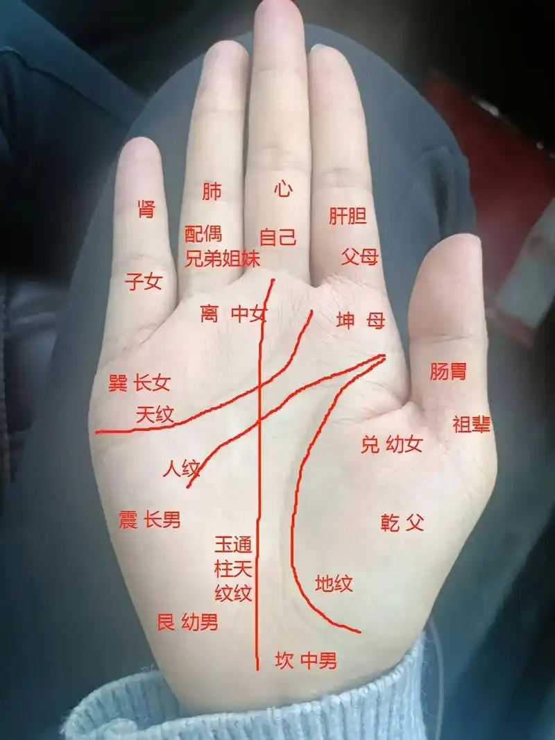 手相大全图解.#上热门 手相是古老的智慧,是一代代人总结实际 - 抖音