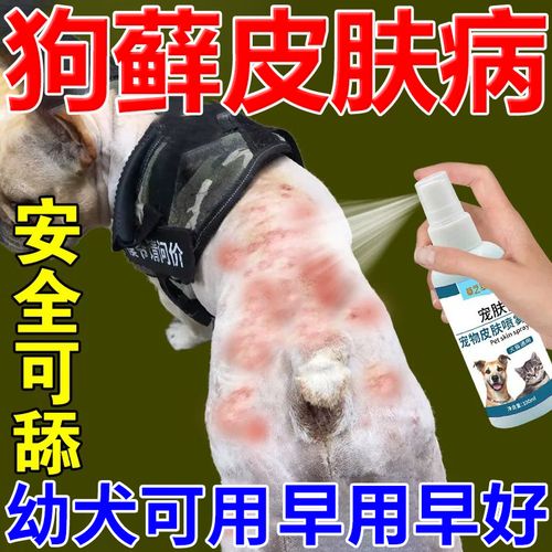 狗藓狗狗皮肤病专用药狗癣真菌感染脱毛专用狗皮肤病喷剂可舔喷雾 1瓶