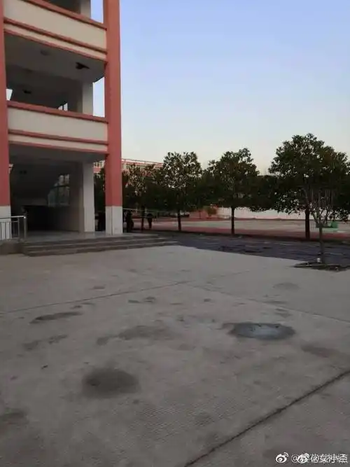 信阳固始固高分校校园霸凌