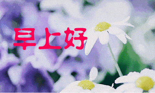 早安正祝福励志精辟语录正能量早安语录图片带字早上好朋友们