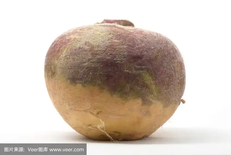 芜菁甘蓝一种孤立在白色叶子上的瑞典甘蓝或芜菁甘蓝