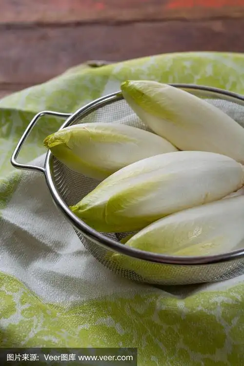 新鲜生比利时苦菊苣沙拉