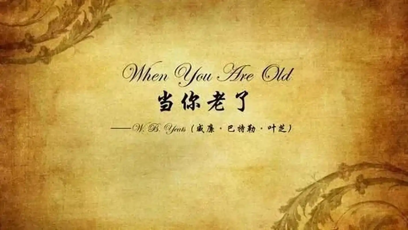 《当你老了》(叶芝 英国)赏析 appreciation of when you are old