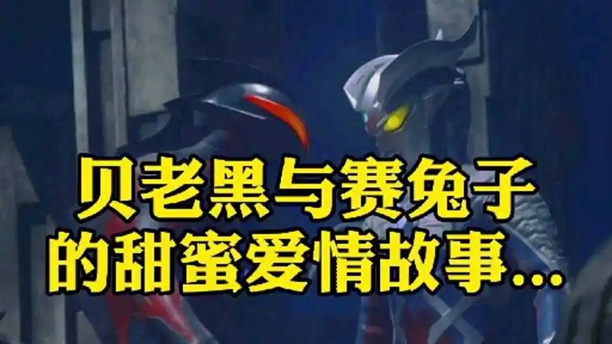 贝老黑与赛兔子的甜蜜爱情故事.