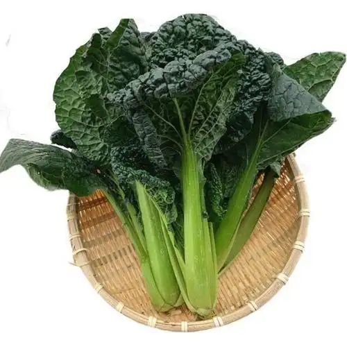 矮脚黑白菜新鲜蔬菜黑叶白菜乌塌菜黑心乌菜菊心菜乌白菜霜冻青菜黑白