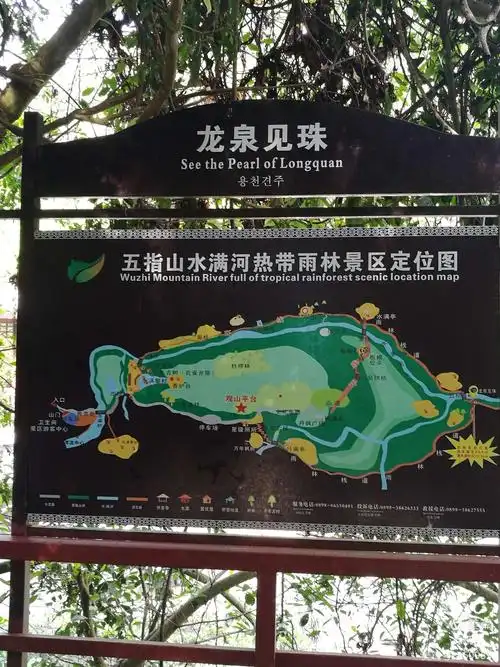 柳知…的美篇 五指山热带雨林景区旅游琐记