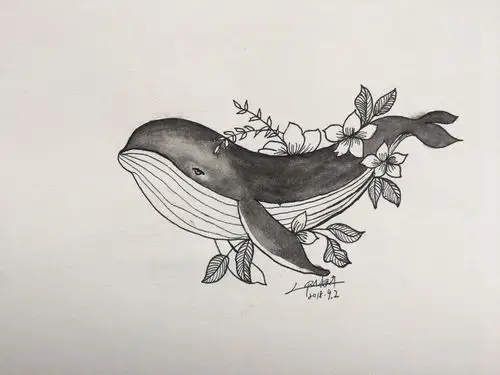 鲸鱼鲸鲸|插画|创作习作|画尽余生 - 原创作品 - 站酷 (zcool)