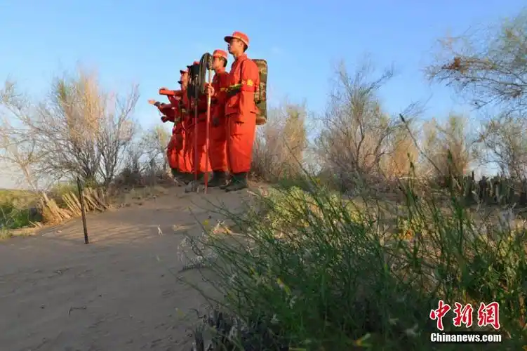 武警新疆森林总队官兵大漠中巡逻防火情