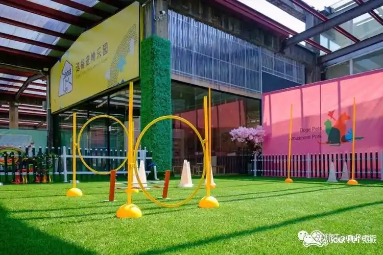 宠物乐园项目简介柴犬聚会宠旅邀你带宠齐聚琶洲逗格宠物乐园赶快来