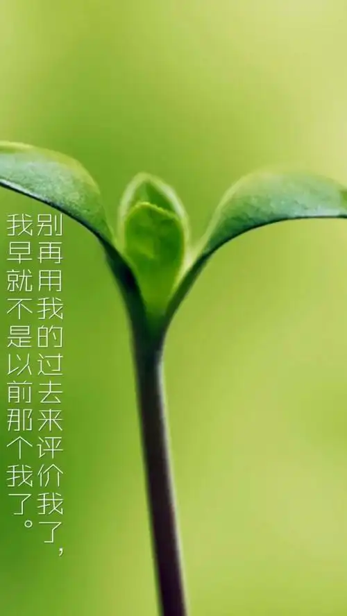 i am not the one i used to be. 别再用我的过去来评价我了.