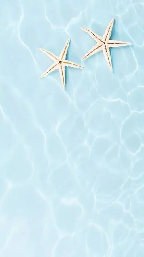 素雅清新淡雅蓝色海星手机壁纸聊天背景