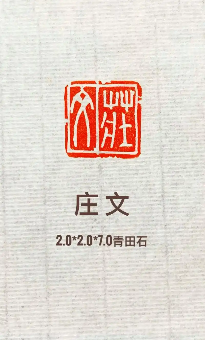 每日一印.白文名章:庄文 #手工篆刻 #书画印章#印章定制 - 抖音