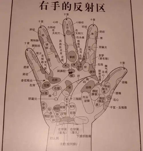 注:悠云的母亲告诉说,如果你按压手掌的某个部位时有隐隐痛的感觉