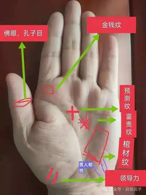 手相手诊断疾看运[十八]