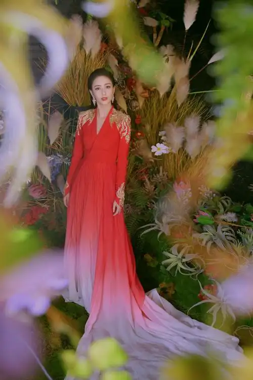 佟丽娅 中央电视台2020春节联欢晚会