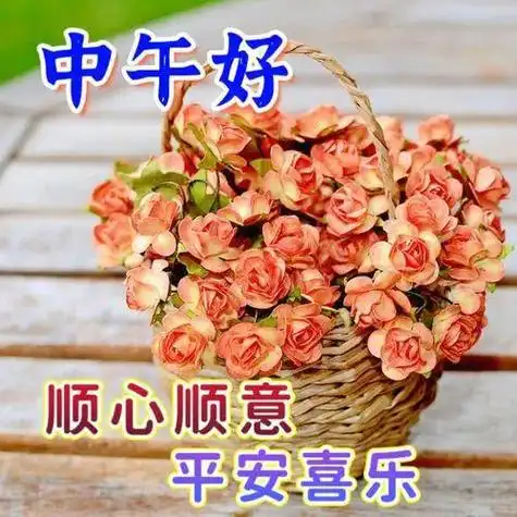 中午好图片大全中午好问候图片大全中午好祝福语