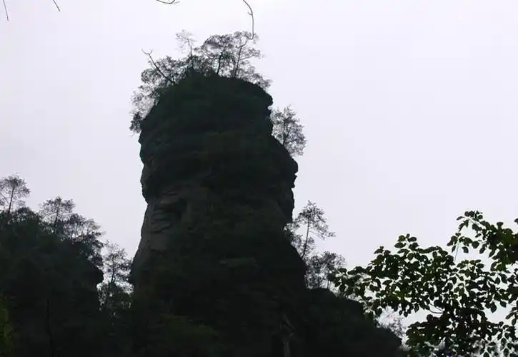 神鹰护鞭位于张家界森林公园的金鞭岩之左侧,有一峰如鹰.