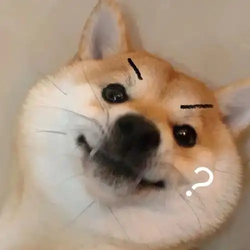 头像搞笑图片大全安陵容搞笑表情包动态安陵容搞笑表情包精疲力尽小