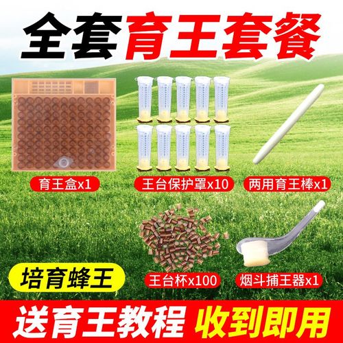 育王全套组合蜜蜂意蜂专用养蜂工具免移虫育王器整套人工育王蜂王