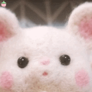 100多张可爱的表情包素材|壁纸|抖音_网易订阅