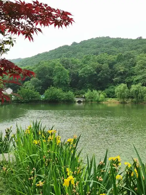 镇江:南山风景区