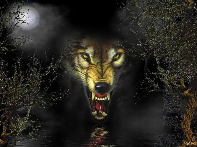 谁有这张狼头的大图高清,能发给我的.谢谢!在线等!