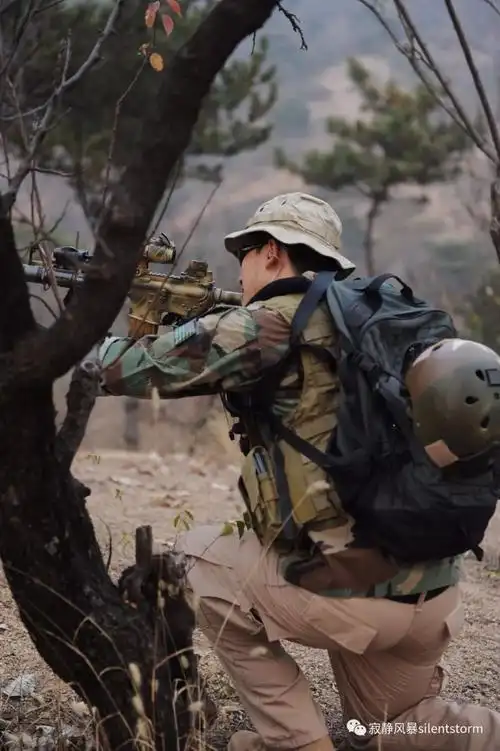 红翼行动重演活动operationredwings