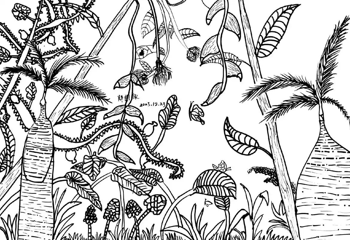 小朋友的线描作品《热带雨林》#一起学画画 #少儿美术教育 # - 抖音