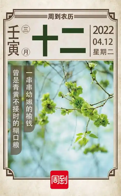 农历中国三月十二榆钱满枝