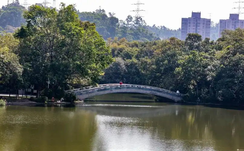 深圳百园百景之东湖公园行摄日记