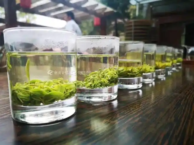 百草茶海产品黄鱼鱼松……精彩节目预告01"康养乐清"篇章将会为网友们