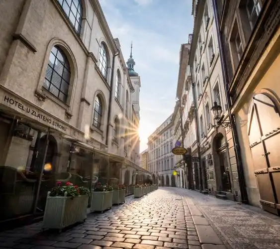 帮我找这张背景图片 要高清大图谢谢了