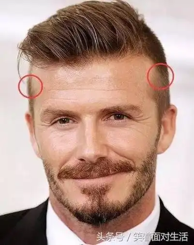 骨相学:巨鳌骨巨鳌骨是两耳侧隆起,此骨有权贵之相,但属于较为内功