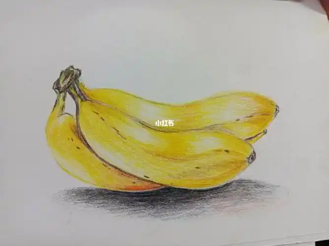 彩铅临摹香蕉